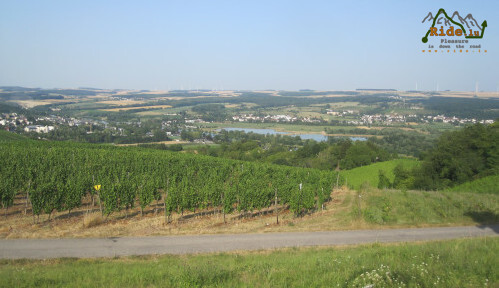 Moselle et Vignes
