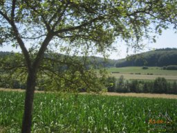 2019-07-22_Reco_Du-Charbon-au-Nucleaire