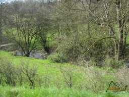 2021-04-17_Des-Sources-au-Riesling