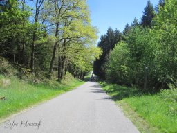 2025-05-11_Motorbike-Emotion_Encadrement-Tracteurs-Vehicules_Courtil