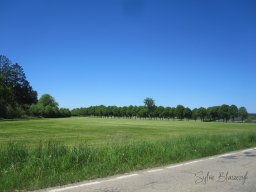 2025-05-11_Motorbike-Emotion_Encadrement-Tracteurs-Vehicules_Courtil