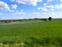 2026-05-10_Reco-et-Encadrement-Tracteurs-et-Vehicules-Anciens_Courtil