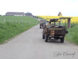 2026-05-10_Reco-et-Encadrement-Tracteurs-et-Vehicules-Anciens_Courtil