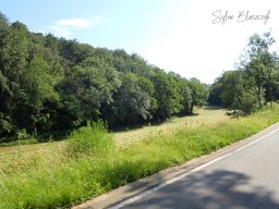 2026-06-21_Une-Grimace-Un-Sourire