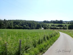2026-06-21_Une-Grimace-Un-Sourire