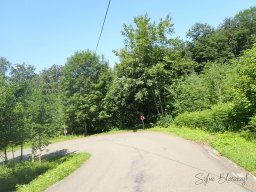 2026-06-21_Une-Grimace-Un-Sourire