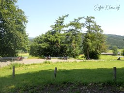 2026-06-21_Une-Grimace-Un-Sourire