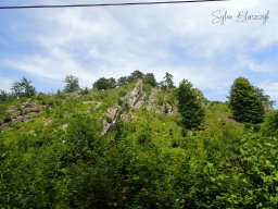 2026-06-21_Une-Grimace-Un-Sourire