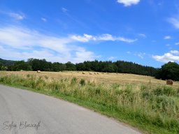 2026-06-28 - Motorbike-Emotion - Balade Gourmande